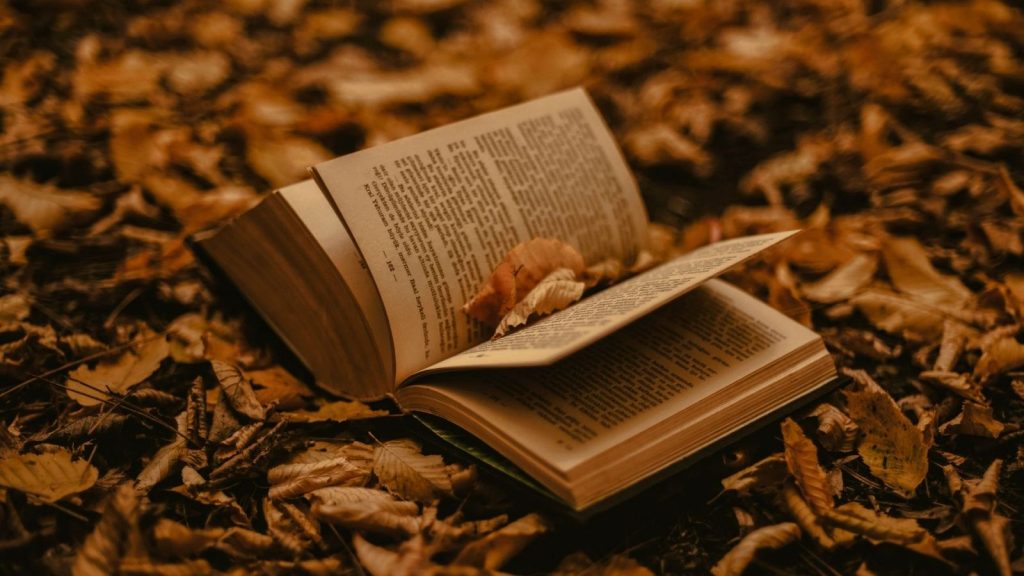 como publicar poesía